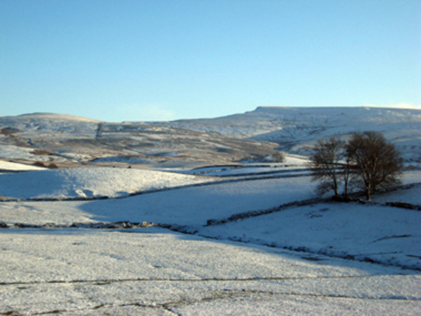 snowdrop cottage ravenstonedale kirkby stephen cumbria